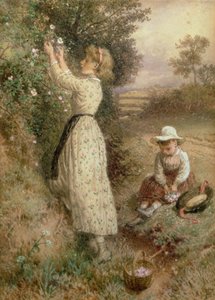 Wild Roses